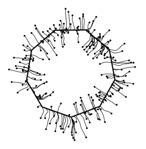 Um parecido nonagono com pontos conectando as extremidades