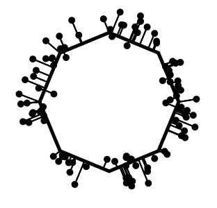Polígono e pontos conectados